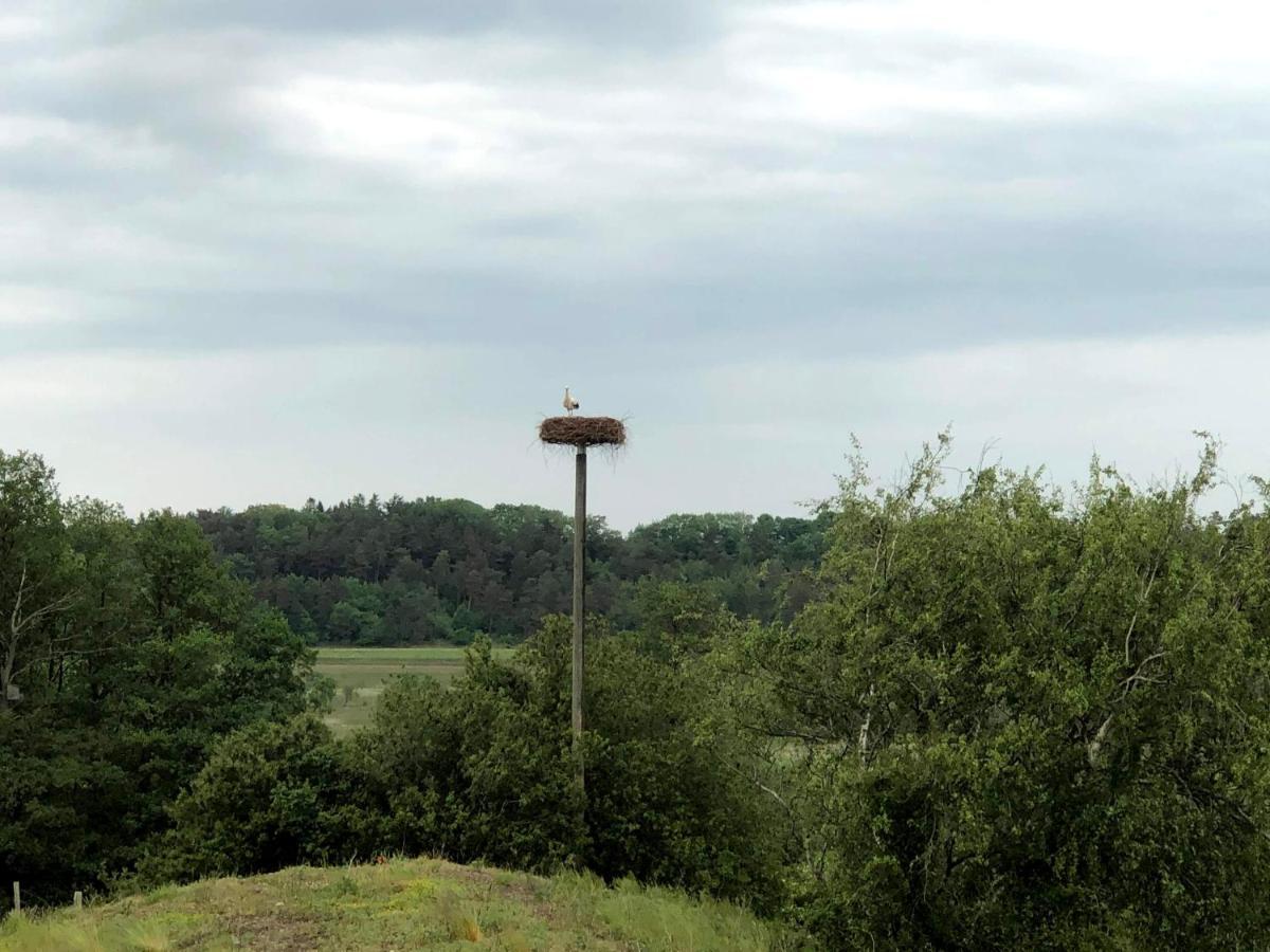 Norreadalens Perle Lägenhet Tjele Exteriör bild