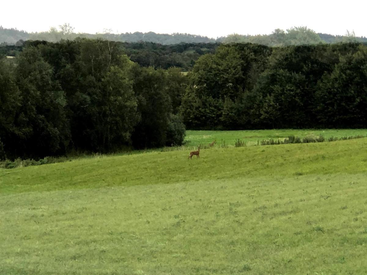 Norreadalens Perle Lägenhet Tjele Exteriör bild